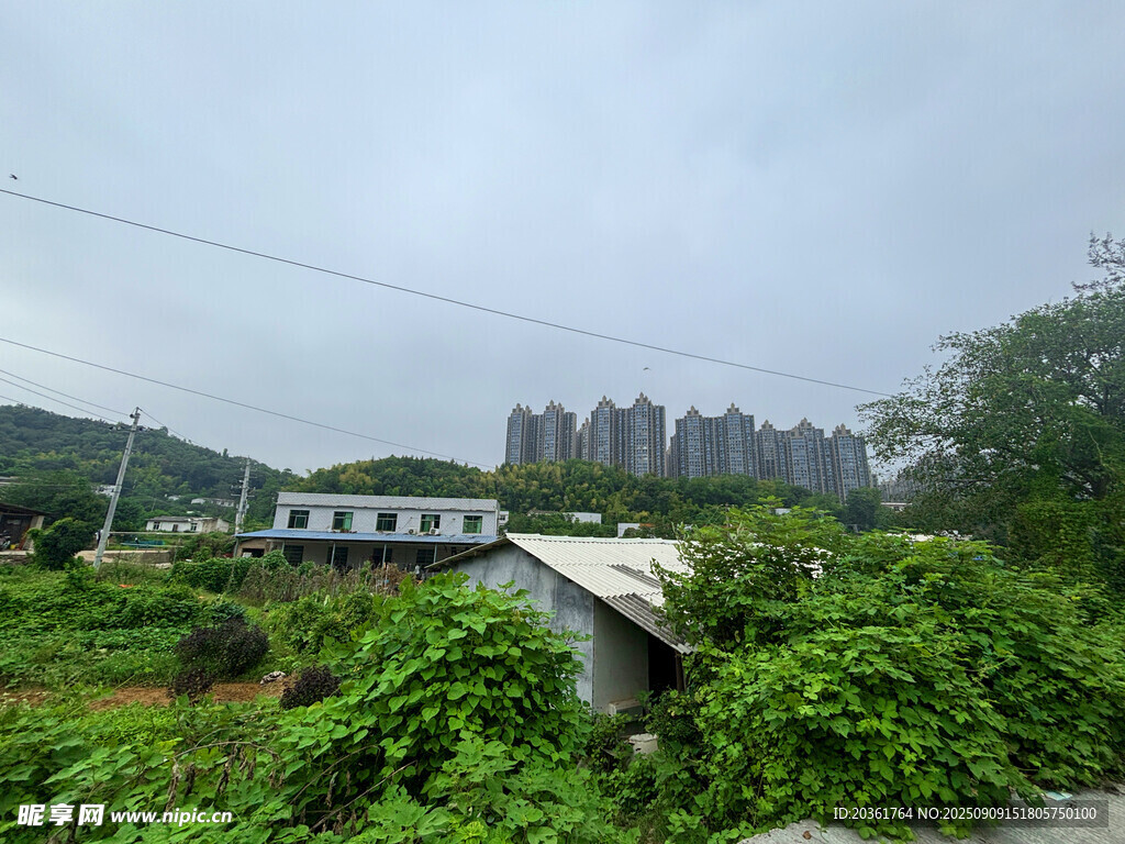 乡村野景中的废弃小屋