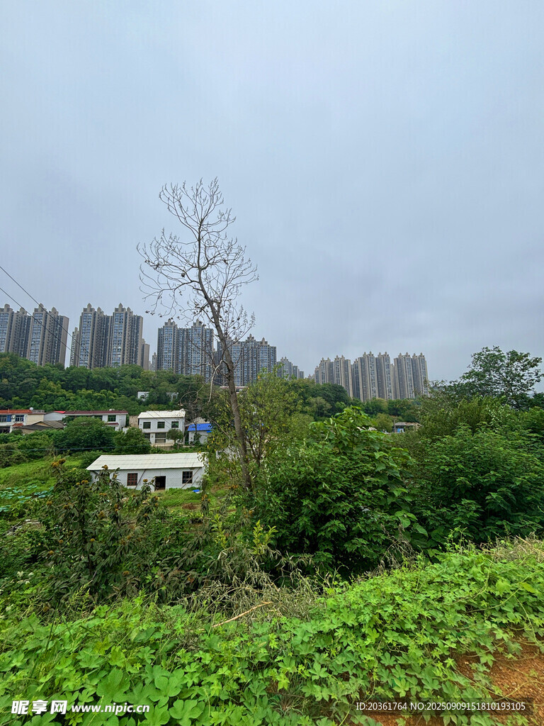 城郊绿植间的白色建筑