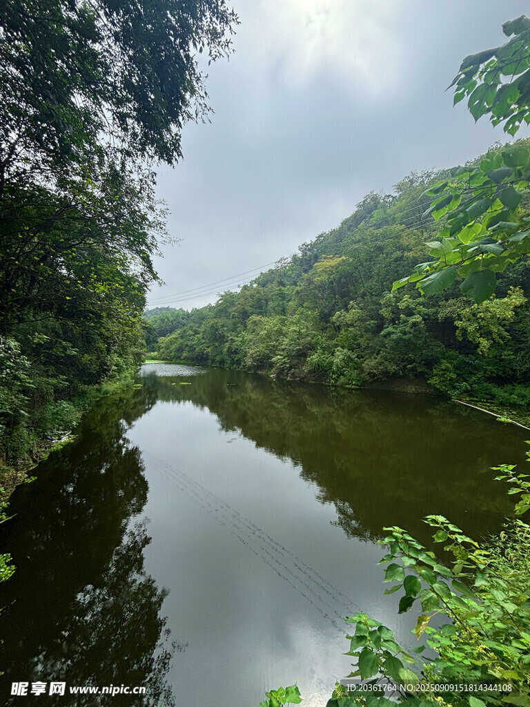 宁静河畔的绿意自然景观