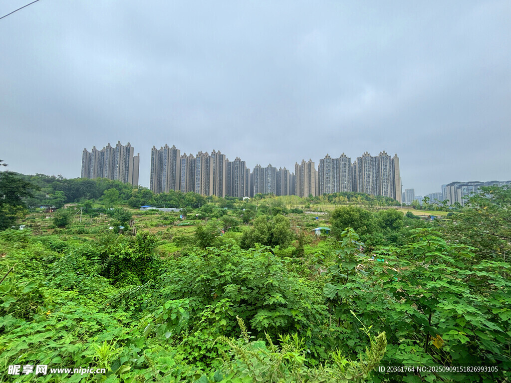绿植环绕的城市建筑群