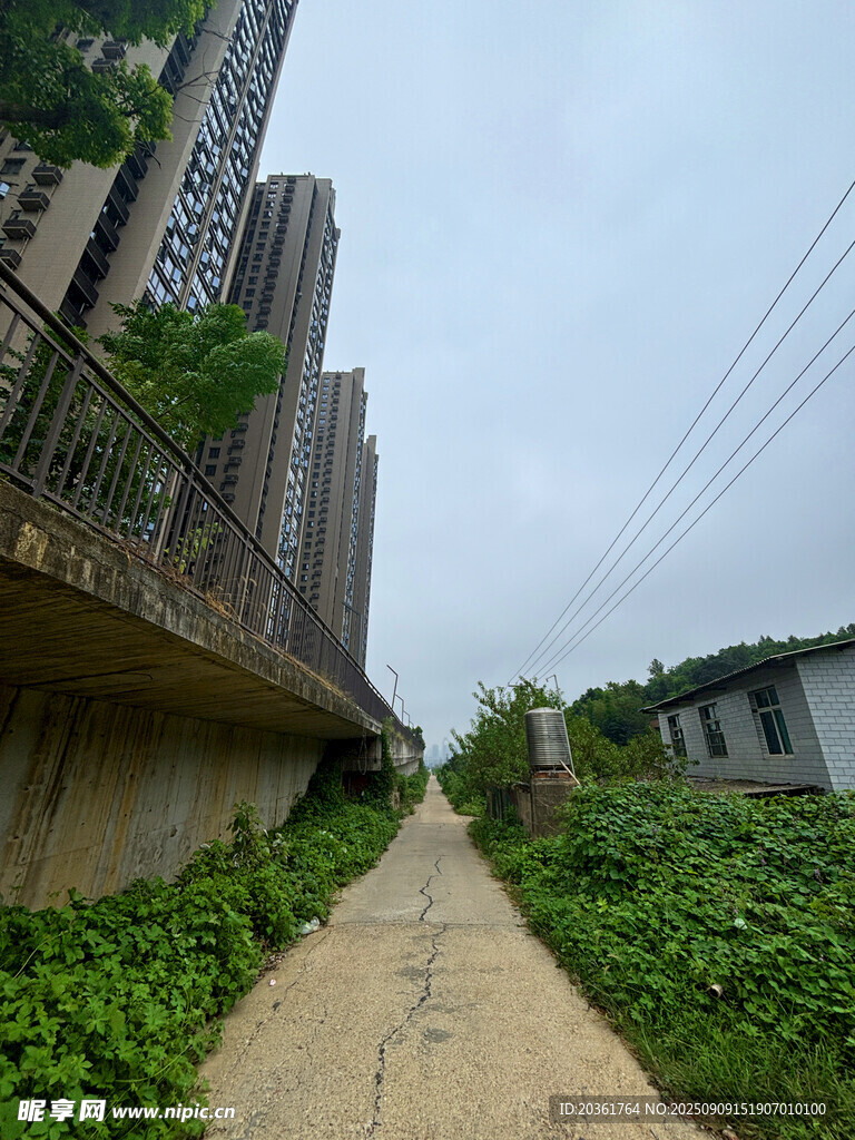 城市中荒废小径与绿植高楼
