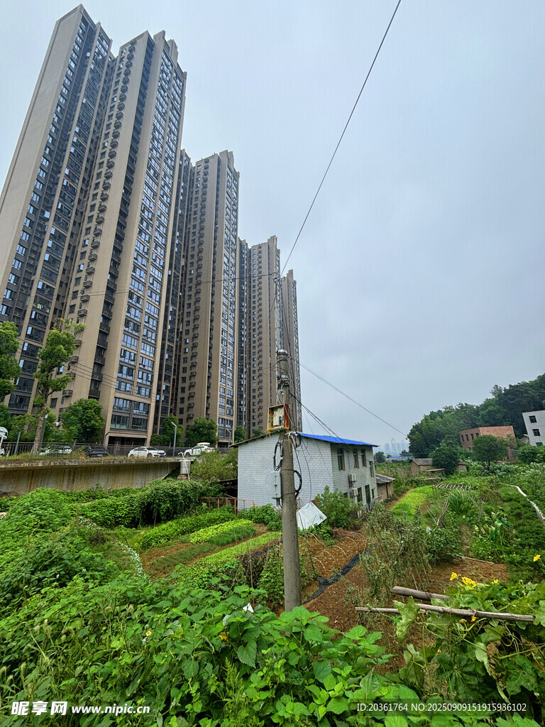 城市高楼旁的绿植景观