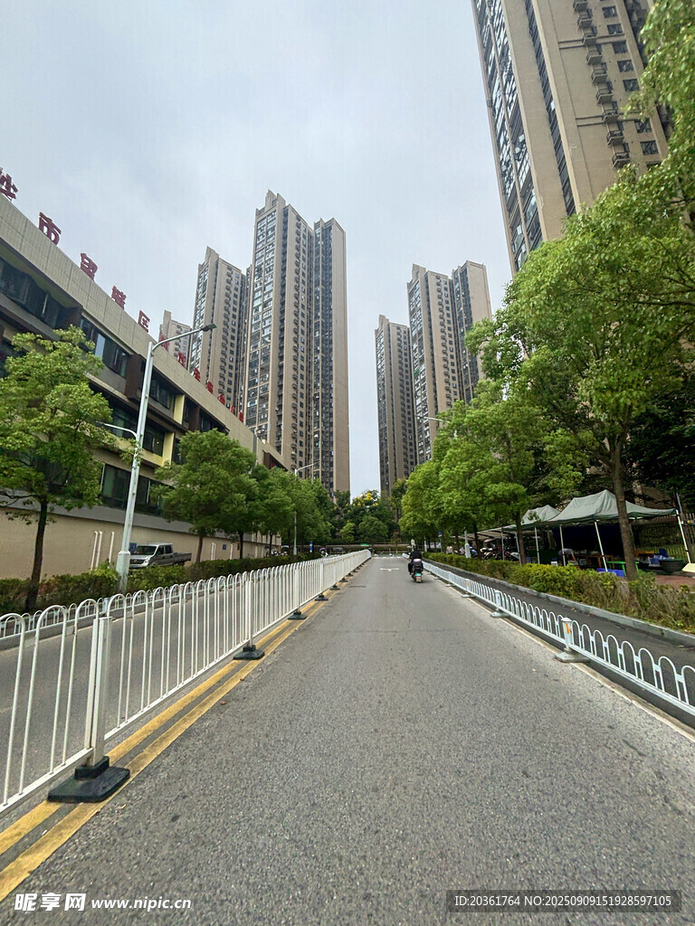 城市林荫旁的宽阔道路
