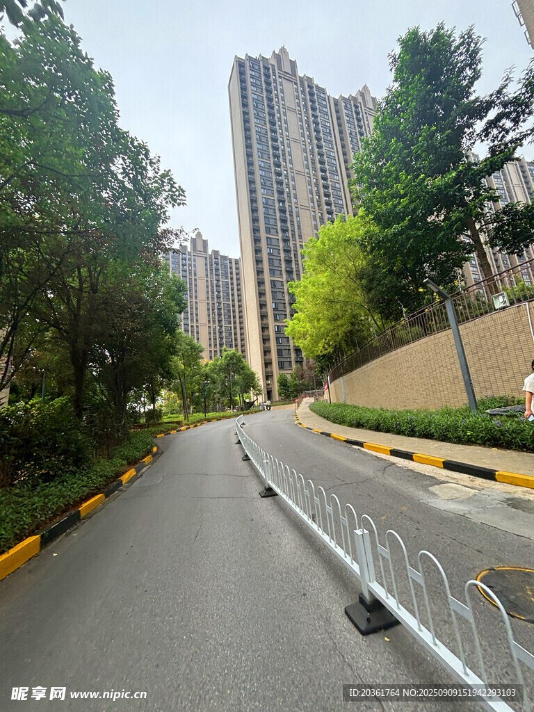 城市路旁景观