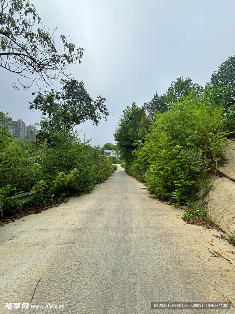 乡间土路