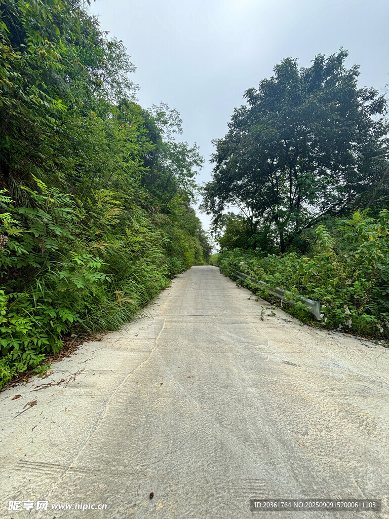 乡间土路
