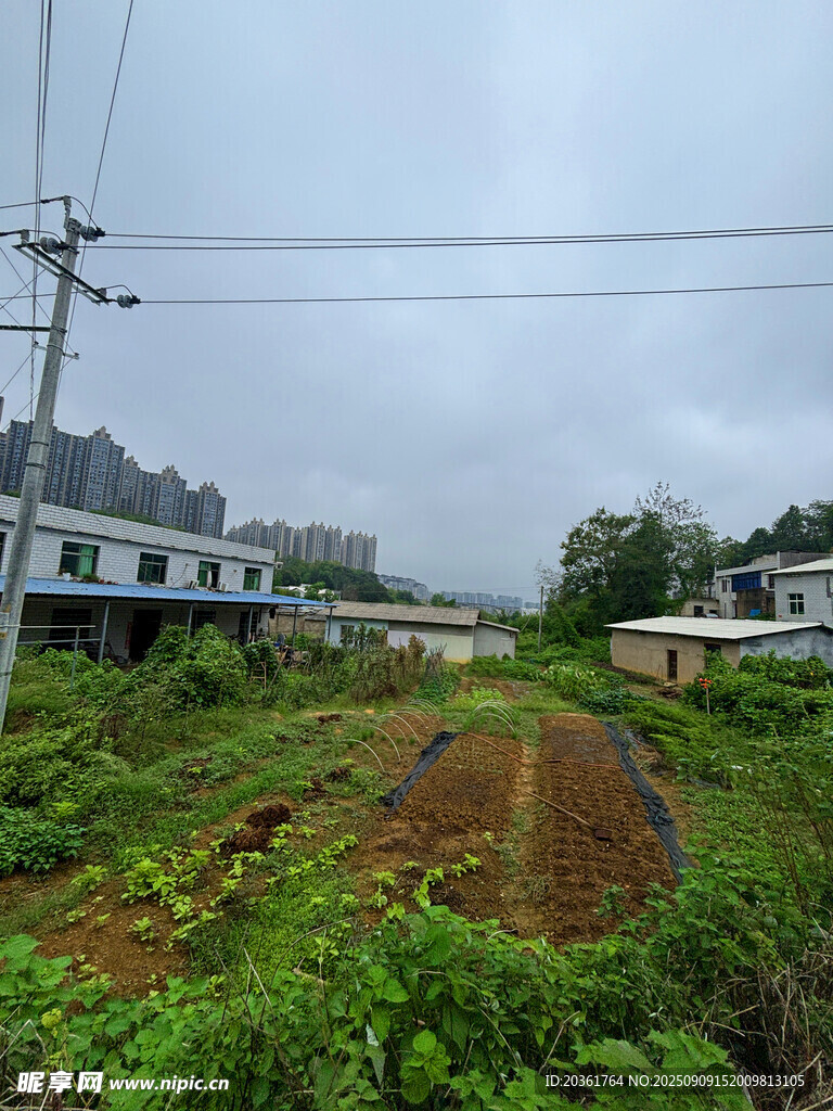 乡村田野景象