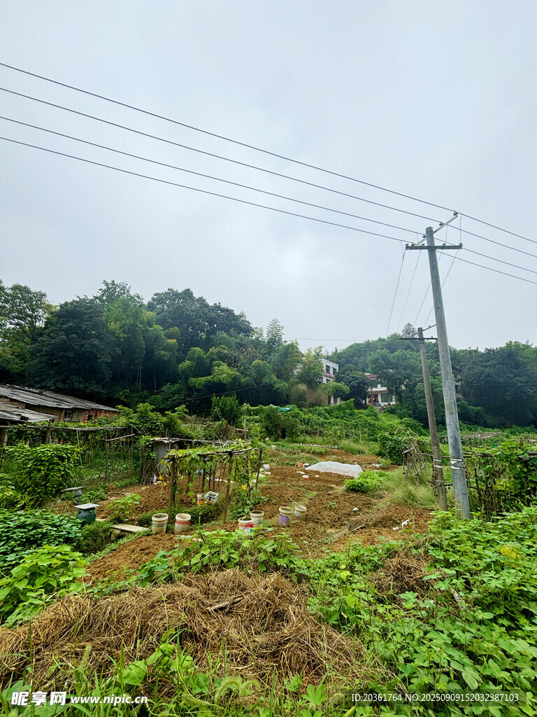 乡村田野景象