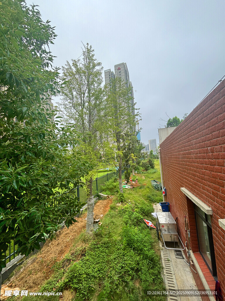 红砖建筑旁的绿植景观