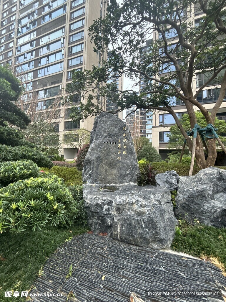 城市中的精致园林景观