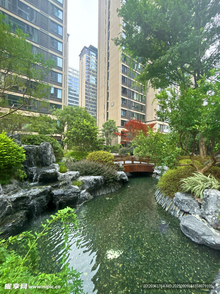 都市中的静谧园林景观