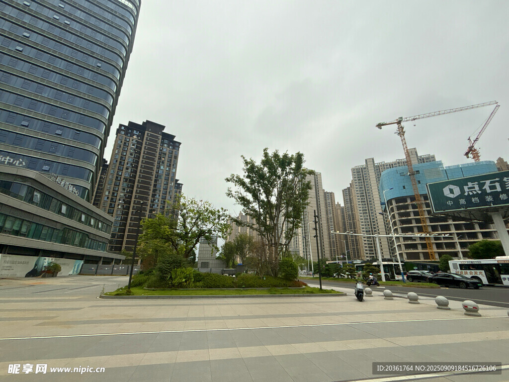城市街景中的现代建筑与绿化