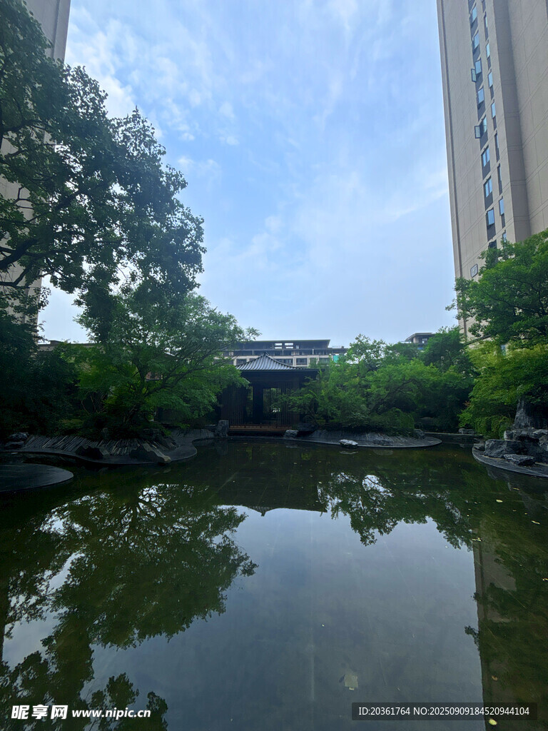 城市中静谧的池塘景观