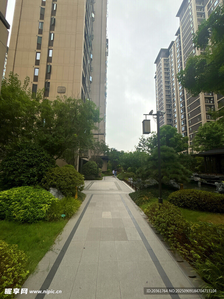 小区内的林荫步道景观