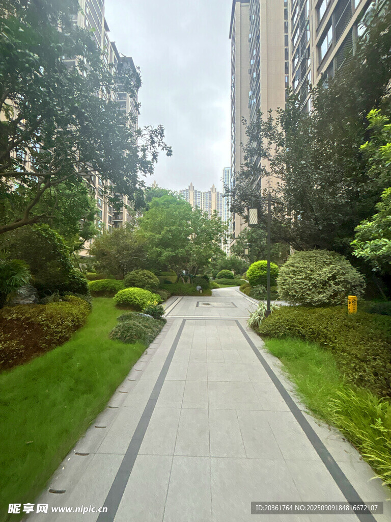 小区内幽静的绿植步道