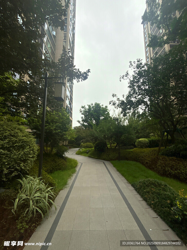 小区内幽静的林荫步道