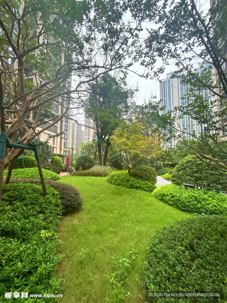 城市中的静谧花园景观