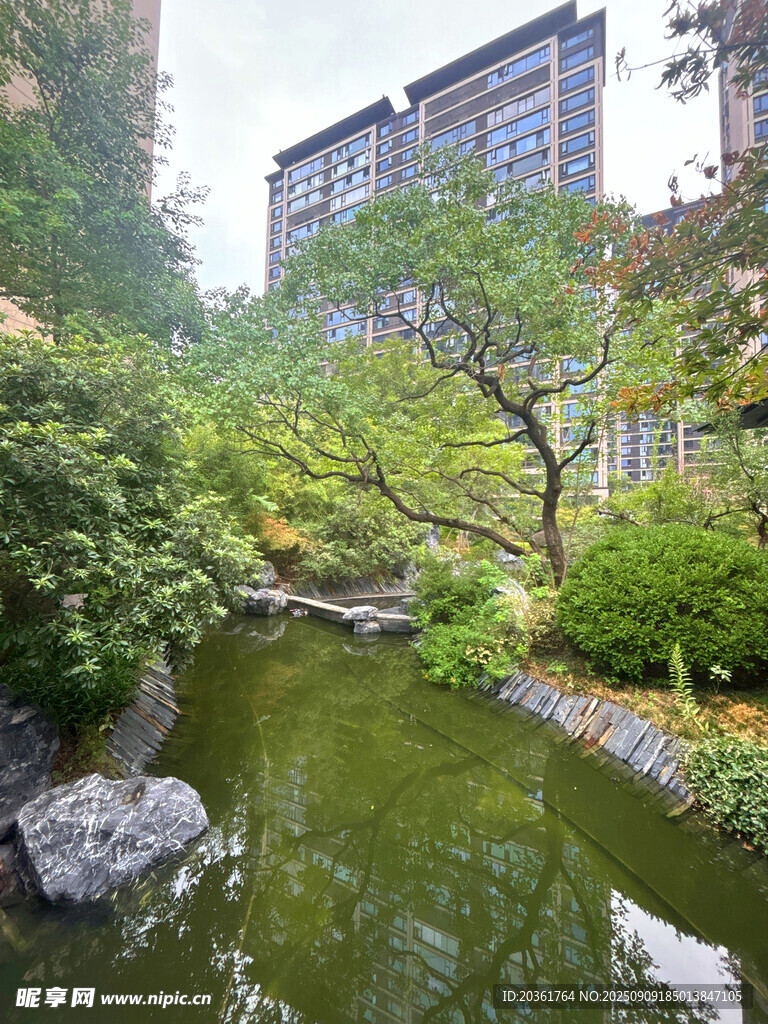 城市中的静谧园林水景