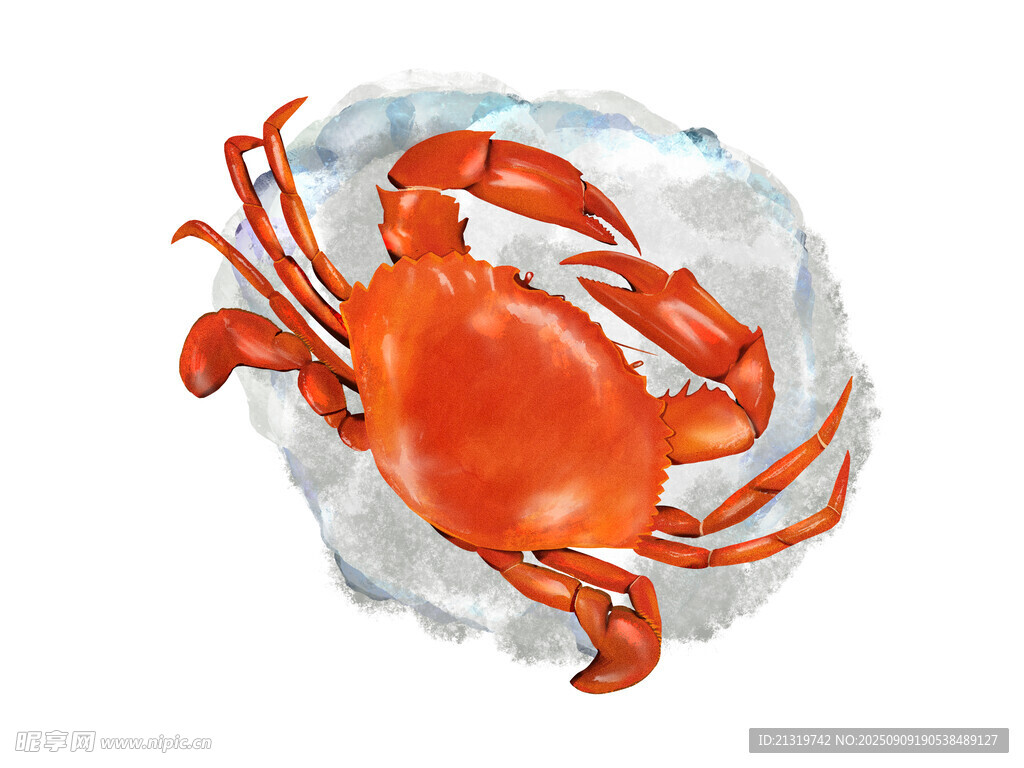 大闸蟹插画