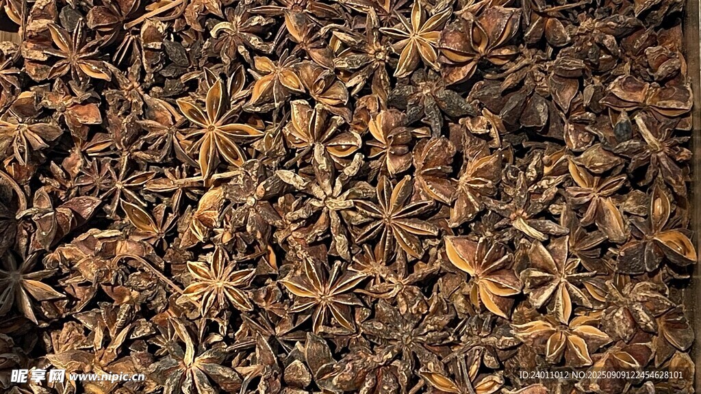 干燥八角茴香特写