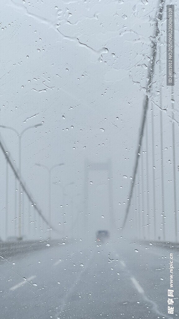 雨中大桥行车景象