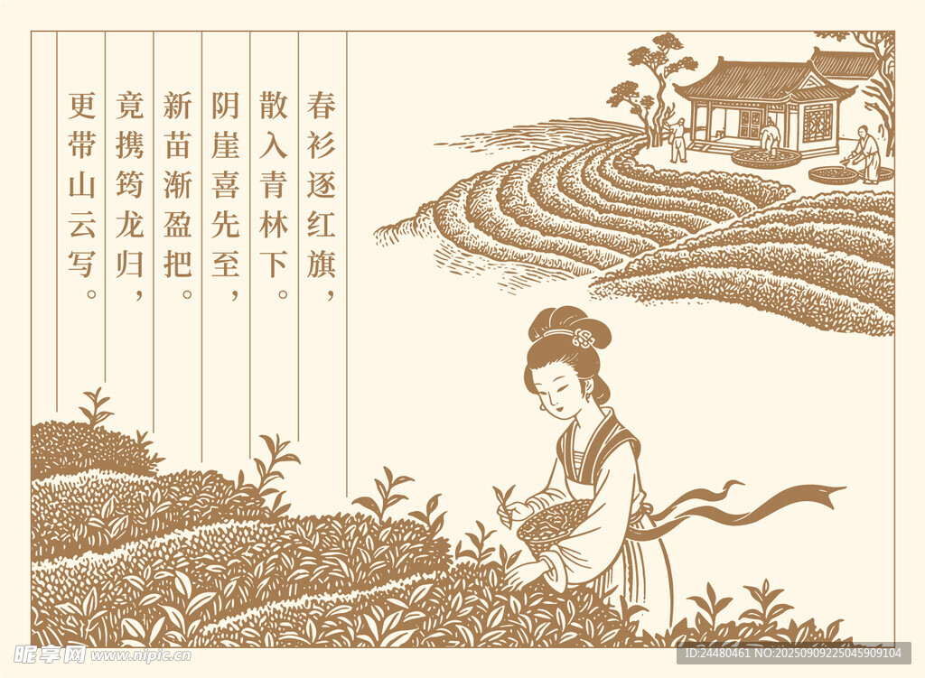 古代女子茶园采茶图景