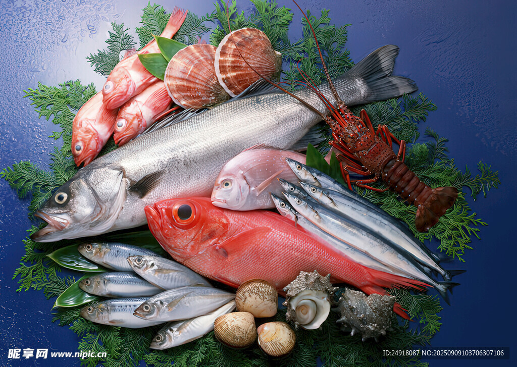 多样海鲜 海鲜图片 海鲜美食