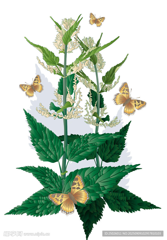 绿叶丛中蝴蝶伴花飞舞