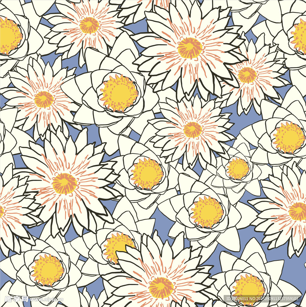 雏菊