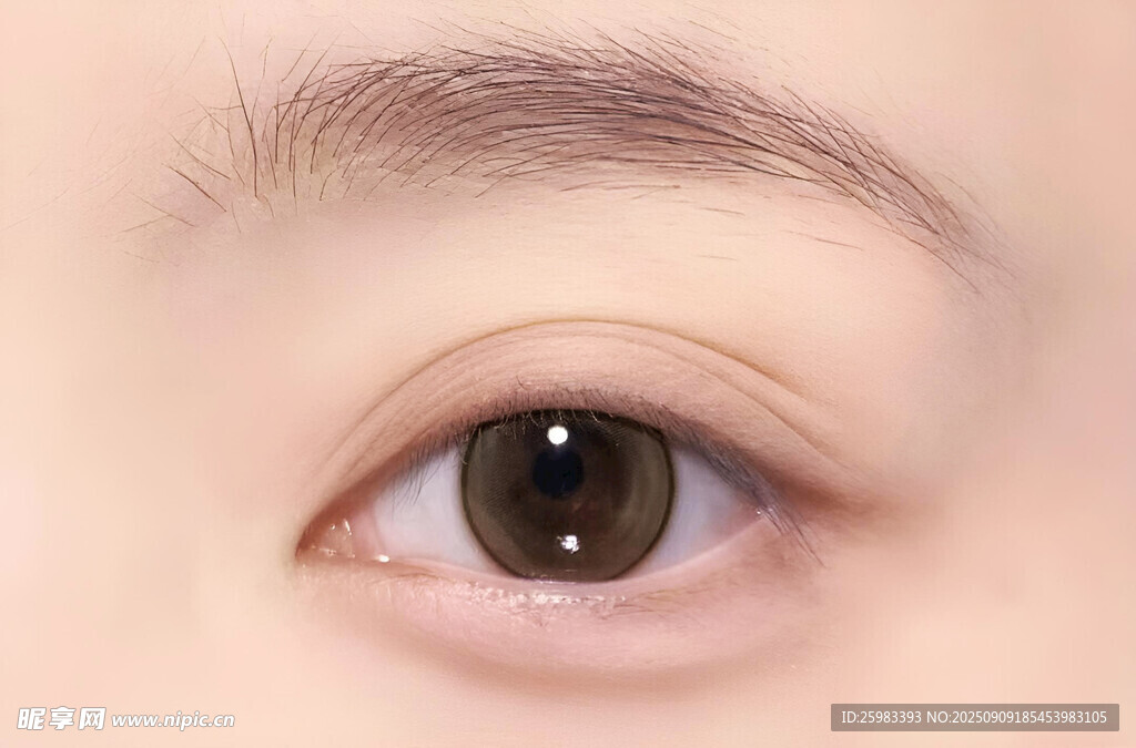 眼睛