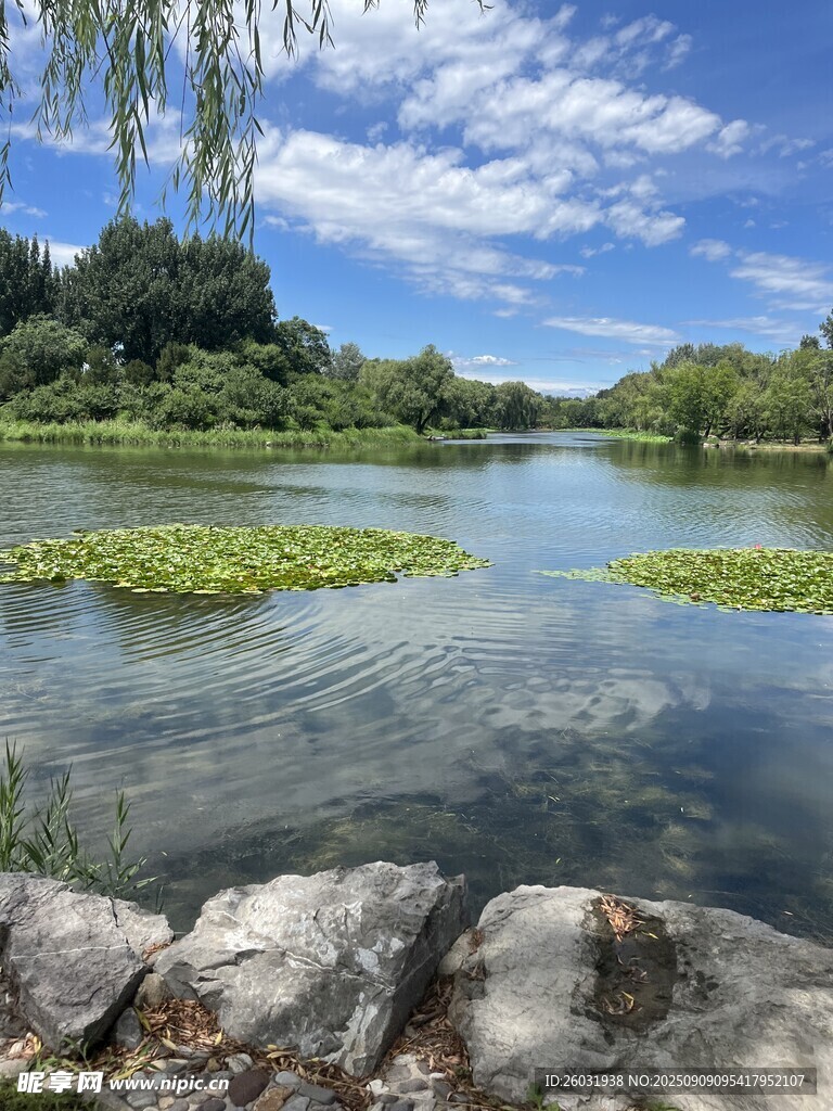 湖畔风光