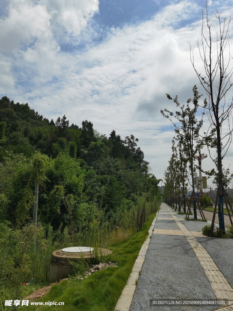 山间步道绿意盎然之景