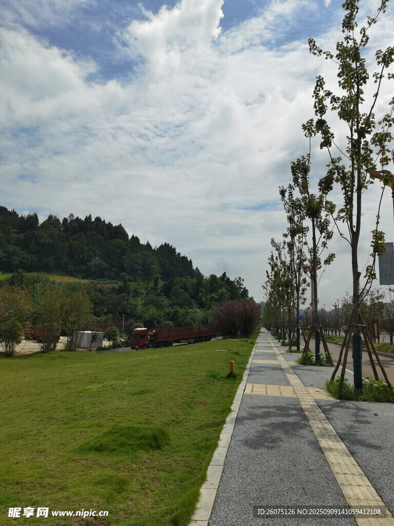 乡村小路旁的清新风景