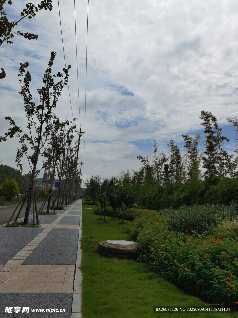 城市林荫步道景观