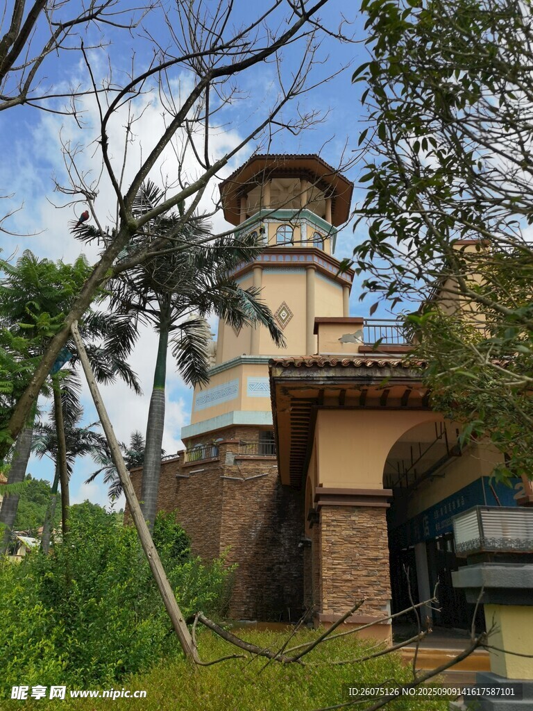 山林中的别致塔楼建筑