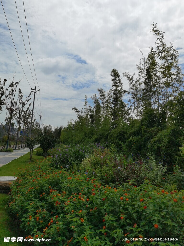 户外绿植景观