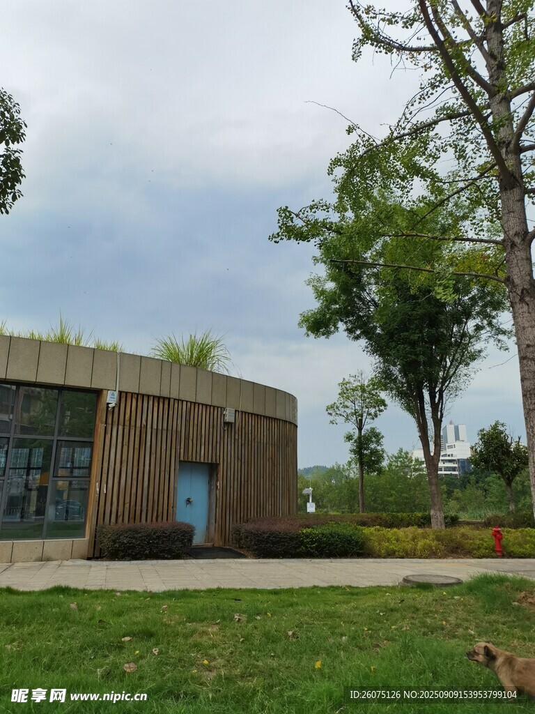户外草地旁的现代风格建筑