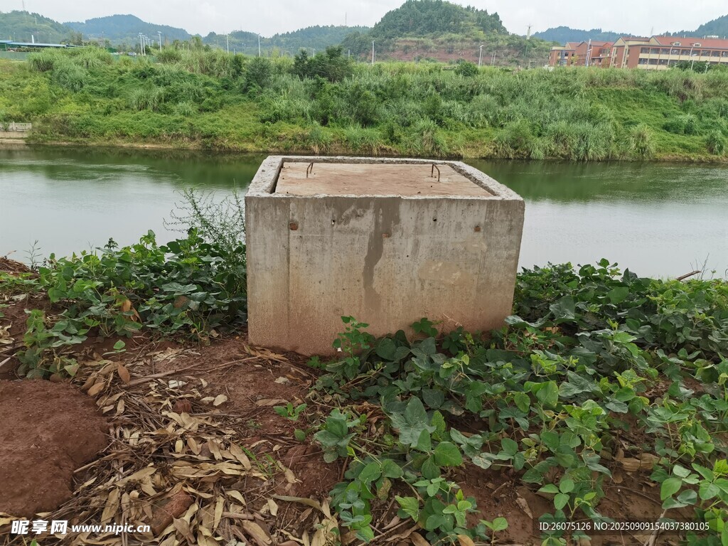 河边水泥台周边绿植环绕