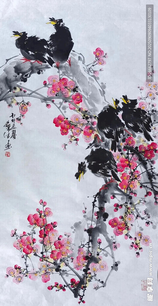 寒鸦