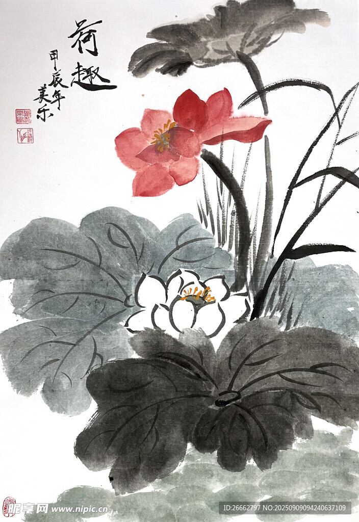 荷花