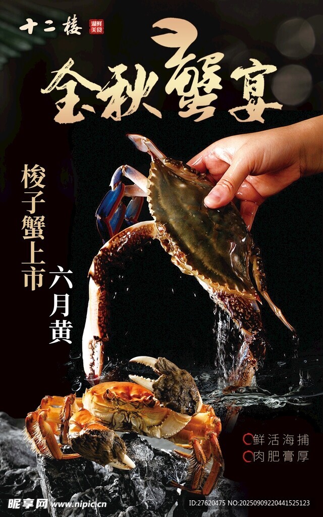 大闸蟹 