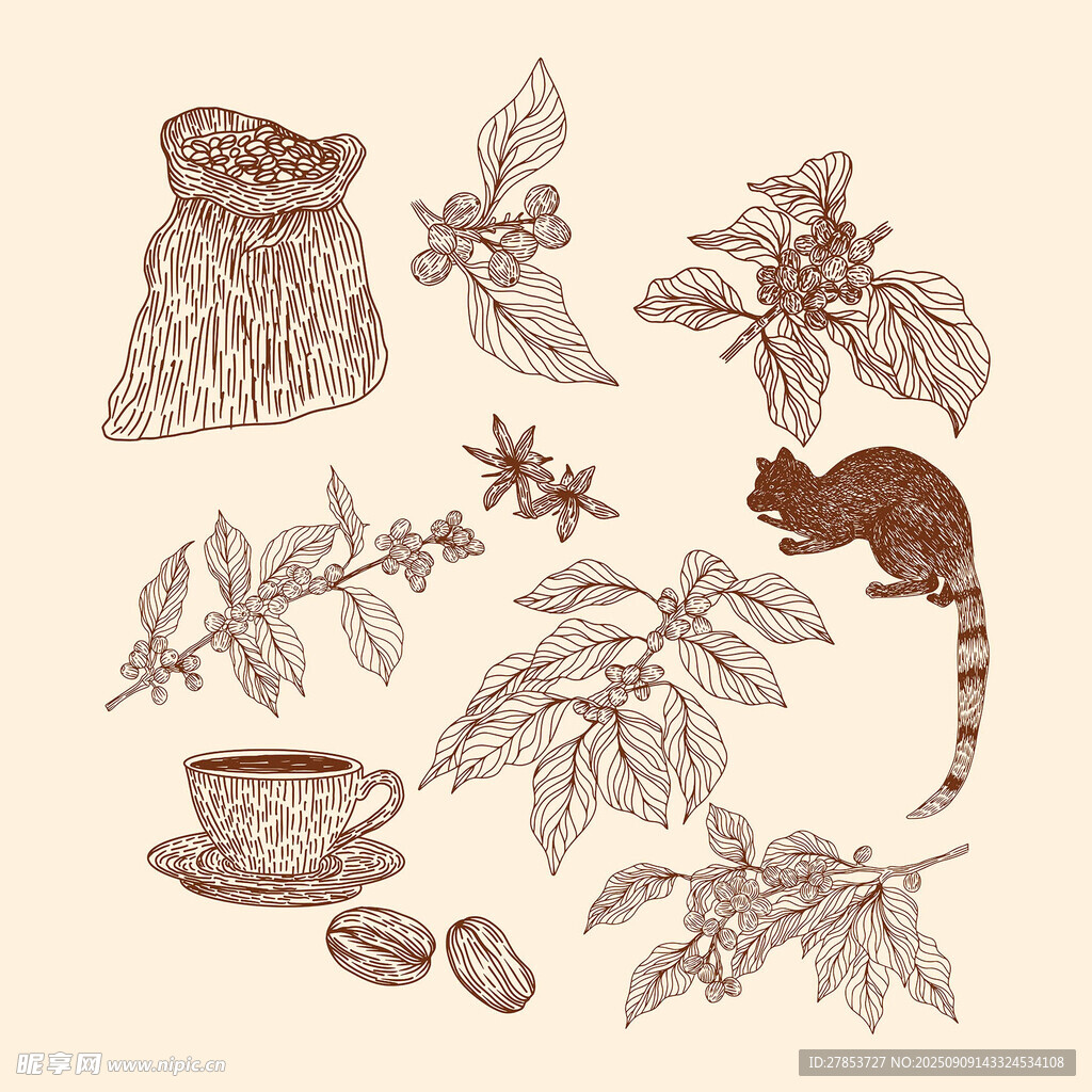 手绘咖啡元素插画