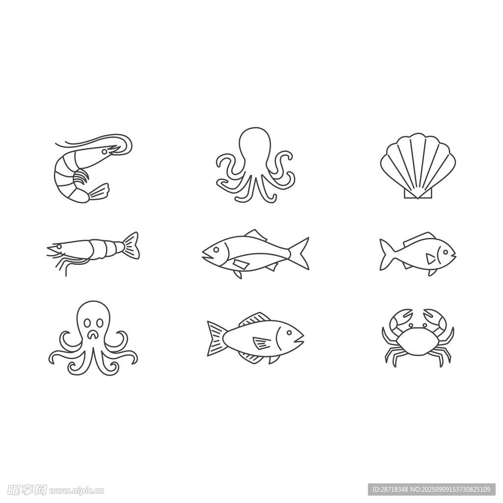 海洋生物图案