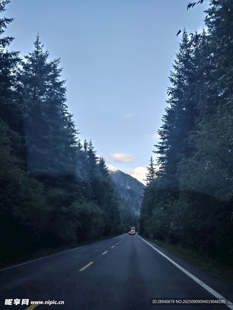 九红草原风光路