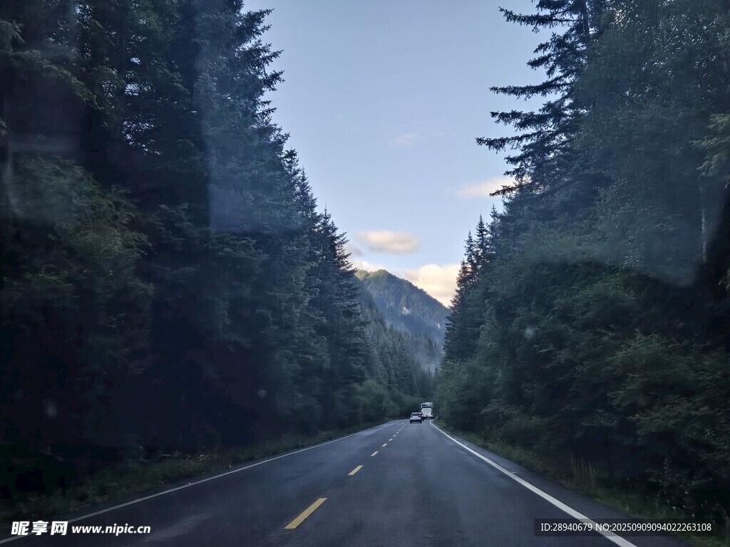 九红草原风光路