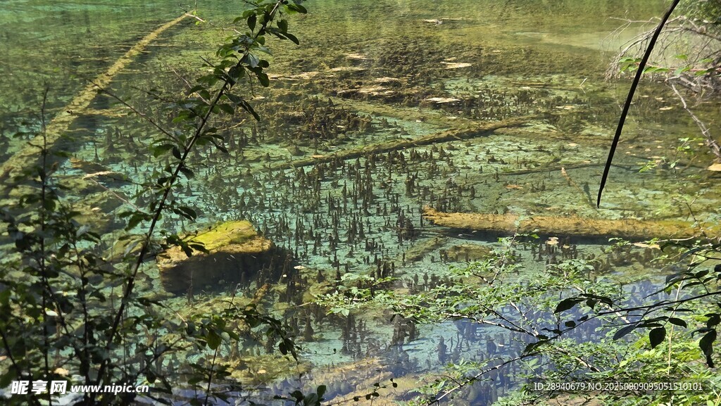 九寨沟