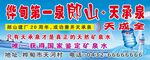 桶装水海报