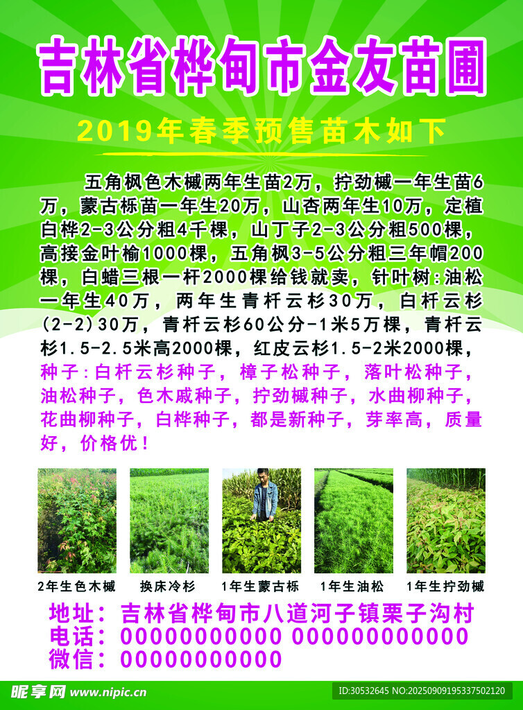 苗圃传单