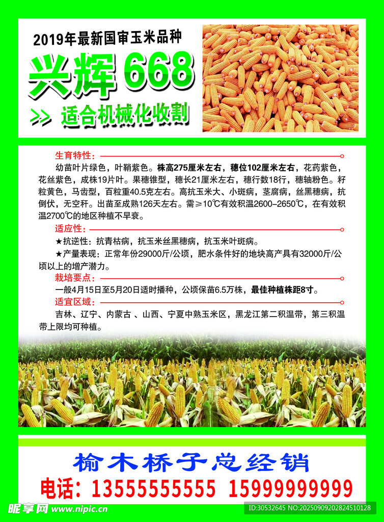 农资商店 种业传单