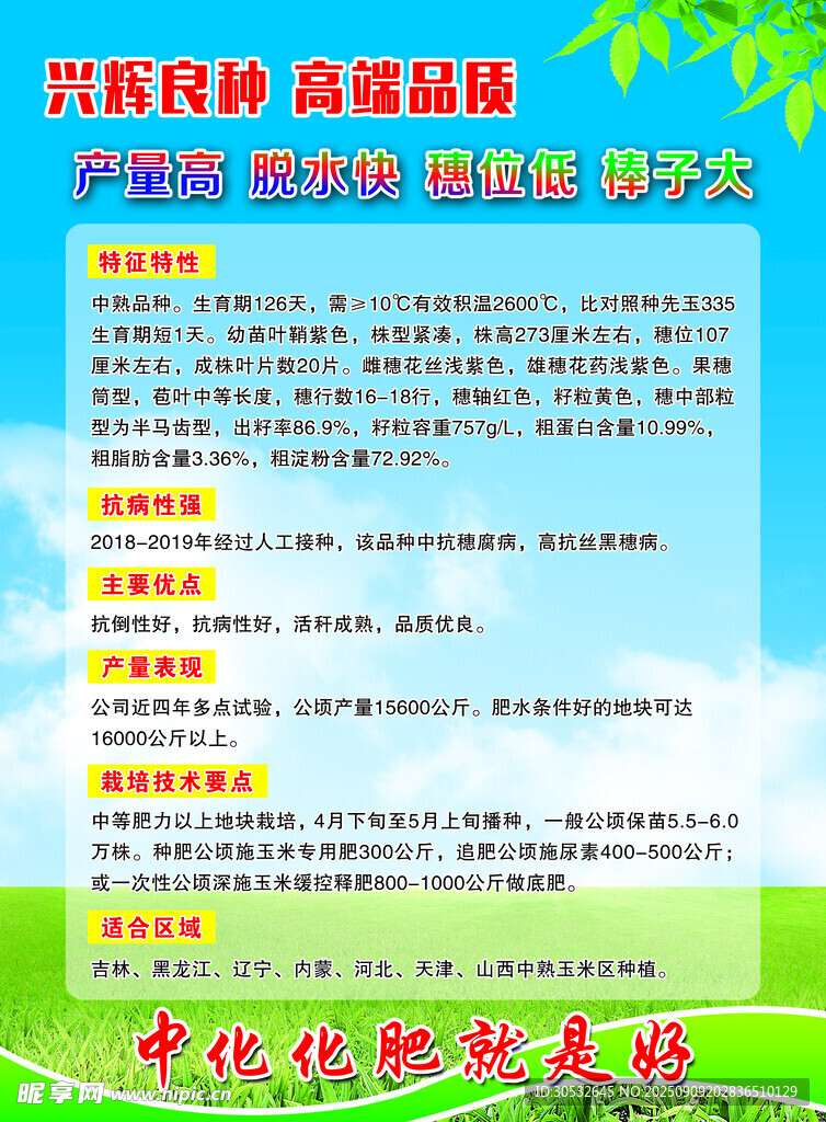 农资商店 种业传单